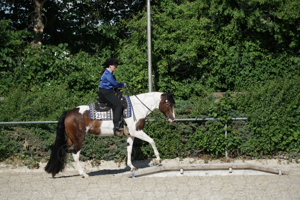 s_APF06889.jpg